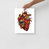 Heart Drawing “Red Photographer's Heart” Anatomical Heart Art Print - Image 2