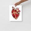 Heart Drawing “Musical Heart No. 2” Anatomical Heart Art (Red and Cream) - Image 2