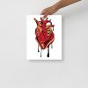 Heart Drawing “Musical Heart” Anatomical Heart Art (Red and Cream) - Image 2