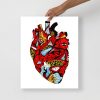 Heart Drawing “Transparent Heart” Anatomical Heart Art Print