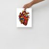 Heart Drawing “Red Photographer's Heart” Anatomical Heart Art Print - Image 3