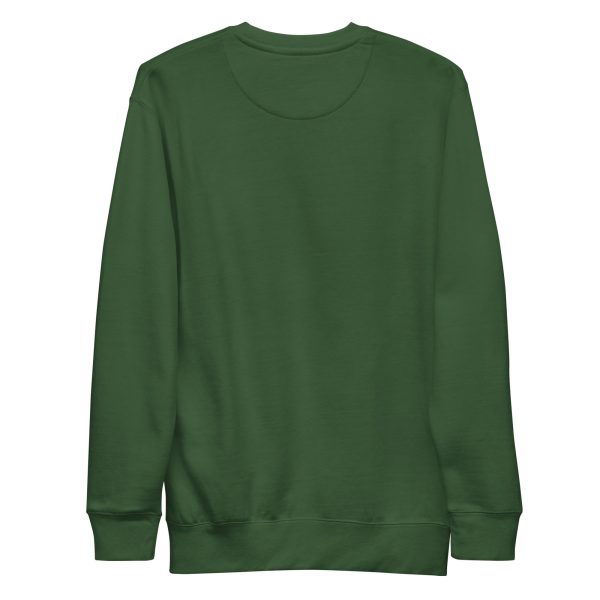 Green Cat Drawing “Magical Cat of Fortune” Cat Sweatshirt - Image 4