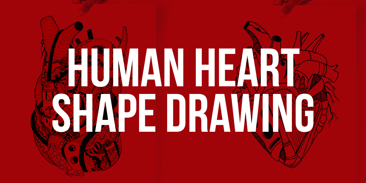 Two detailed black ink line-art anatomical hearts covered in intricate doodle and linework patterns set against a deep red background, presented as a human heart shape drawing ideal for anatomy and dark art print lovers.